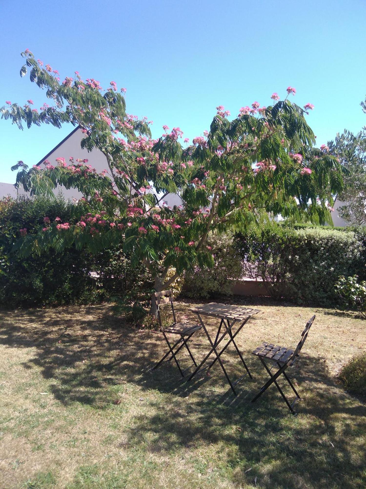 Chambre Agreable Au Calme Saint-Hilaire-Petitville Екстериор снимка